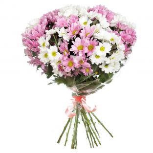 Букет из белых и розовых хризантем - купить с доставкой в по Люберцам